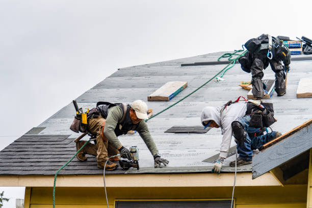 Professional Storm Damage Roof Repair technician working in Seville, FL